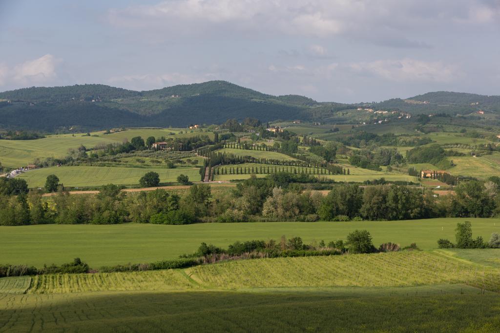 Podere Torricella Montespertoli Exteriör bild